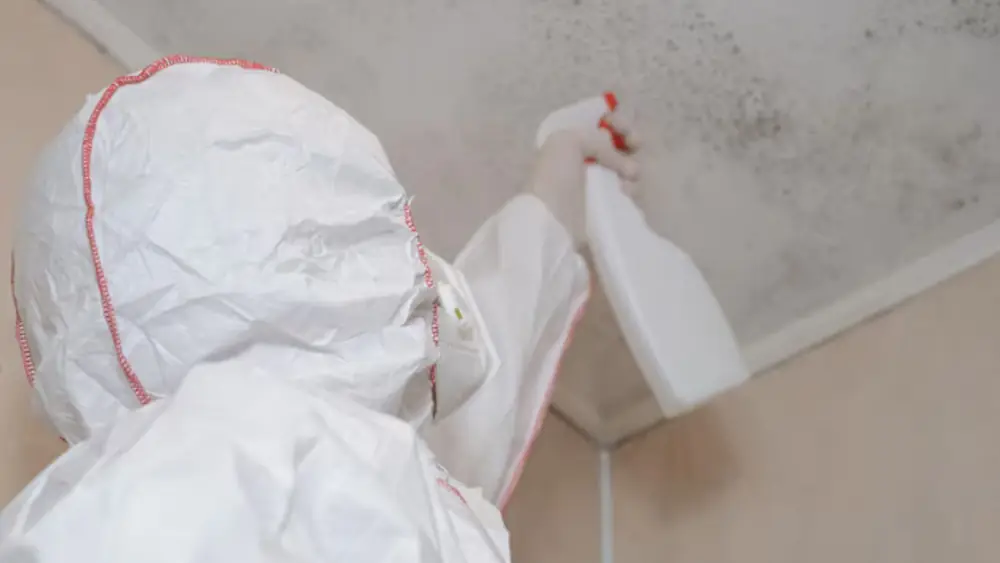 Person in a protective suit spraying a ceiling corner