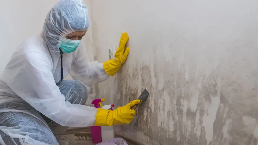 Technician in protective gear scrubbing a moldy wall