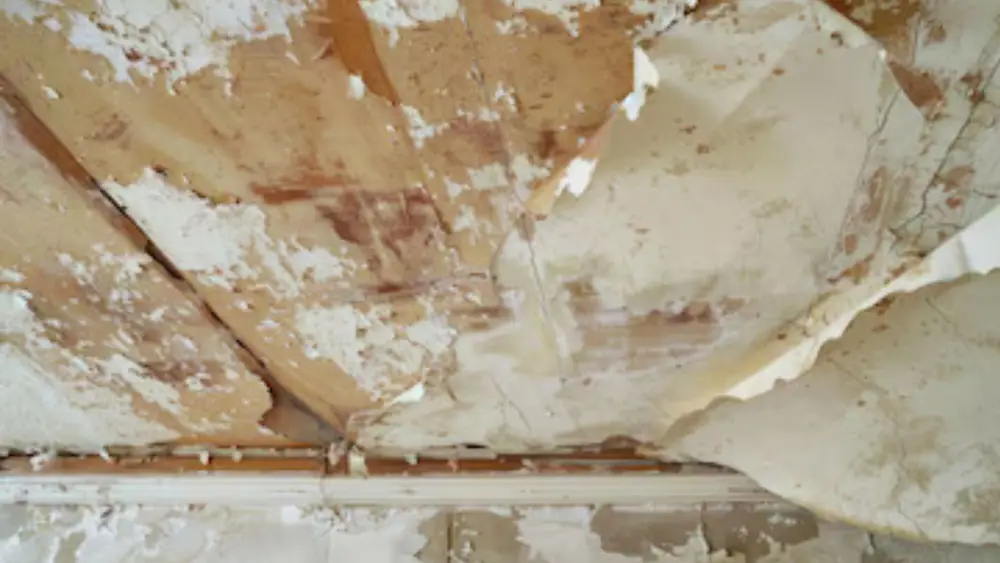 Peeling paint and stained plaster on a ceiling