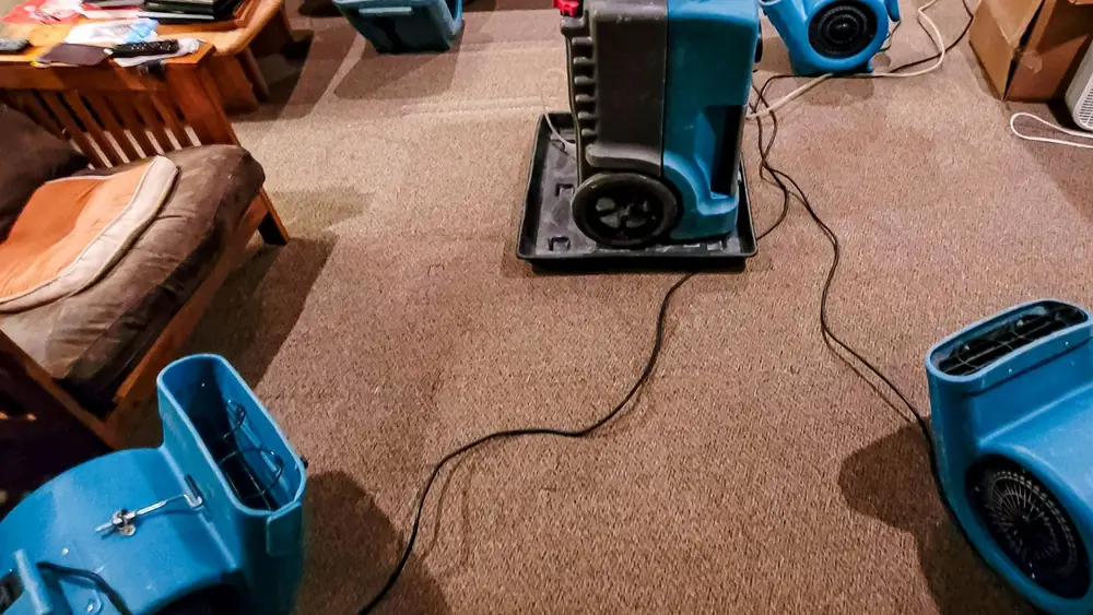 Air movers drying wet carpet in a living room