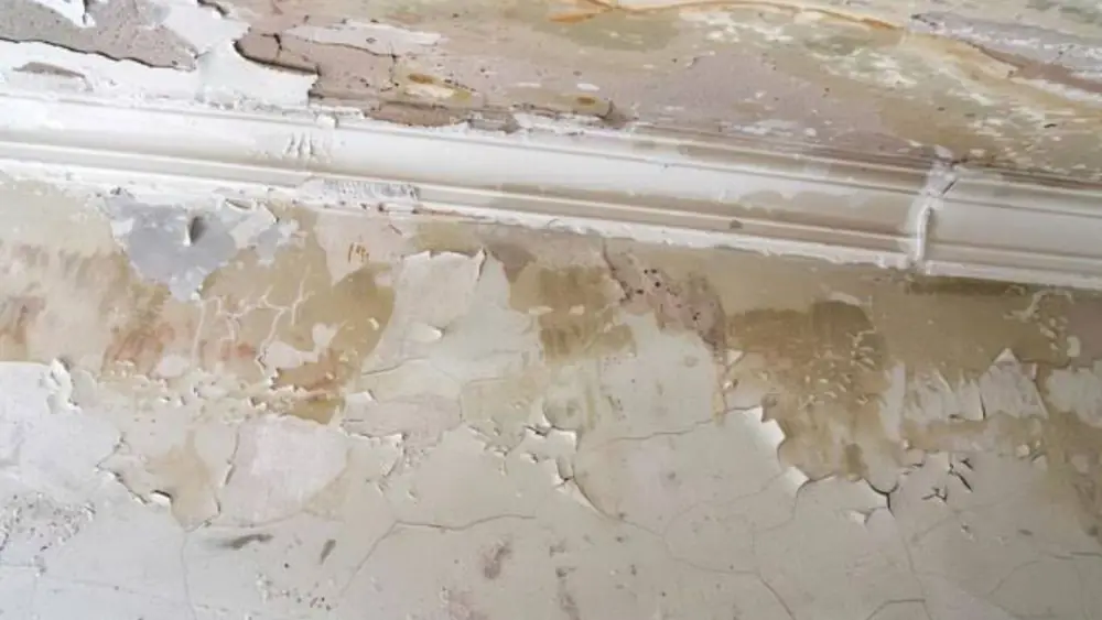 Peeling paint and stains above a window molding