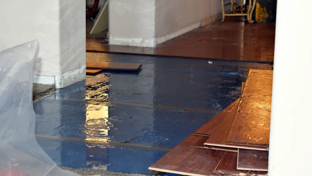 Flooring being lifted over a protective sheet