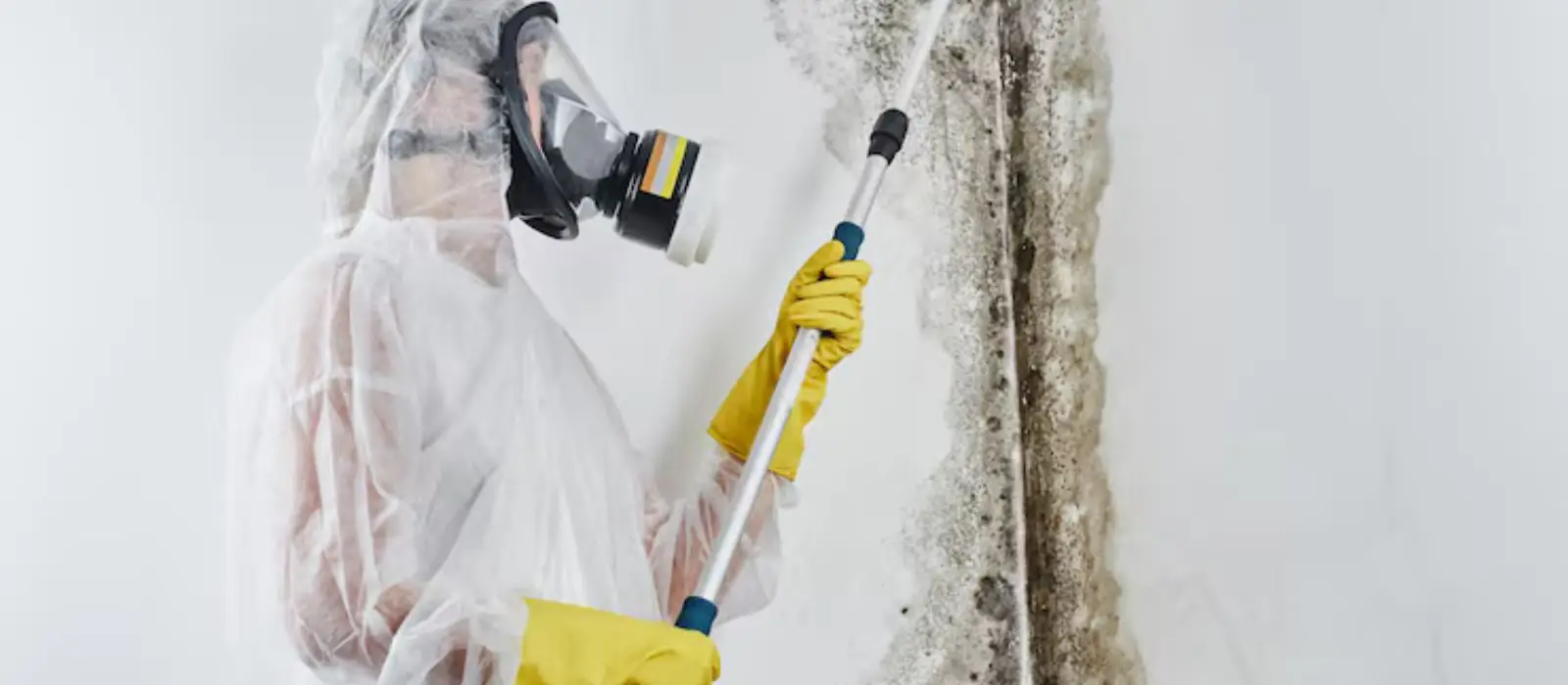 Technician in a respirator and protective suit treating a moldy wall