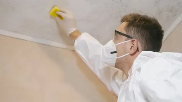 How to Clean Mold Off a Ceiling in Northborough, MA