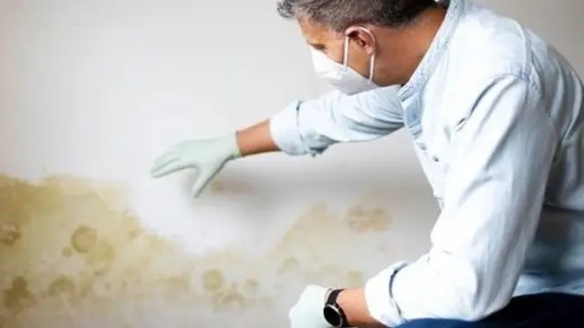 Water Damage Wall Repair in Northborough, MA