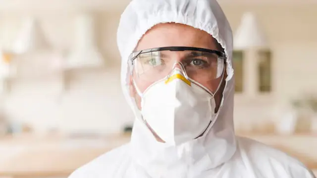 What Does Black Mold Smell Like in a Northborough, MA Home?