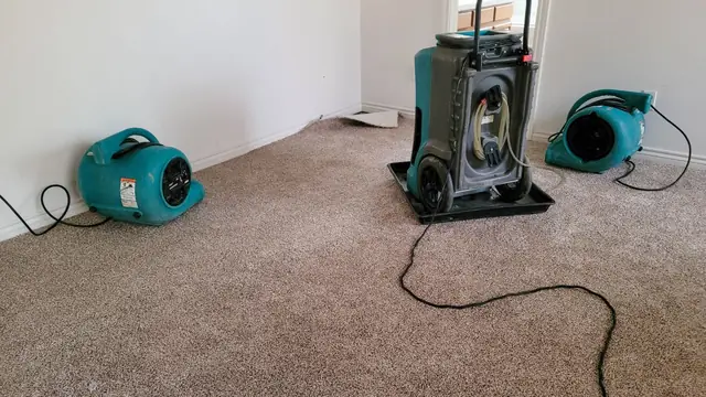 Carpet Water Damage in Northborough, MA