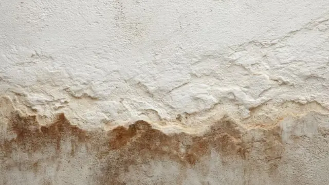 Signs of Water Damage in a Northborough, MA Home