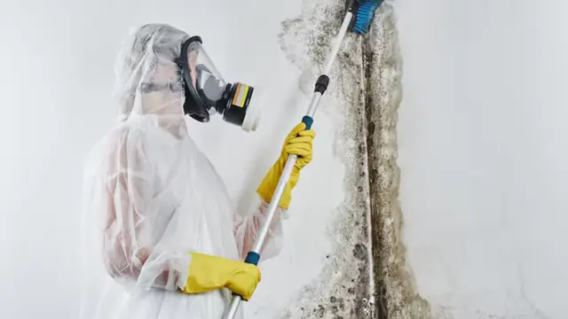 Mold Remediation
